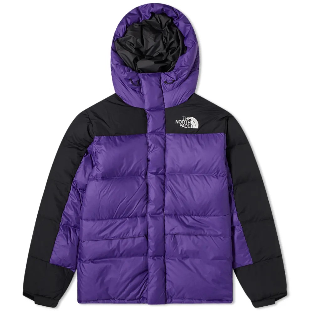 The North Face 94 Retro Himalayan Winter Down