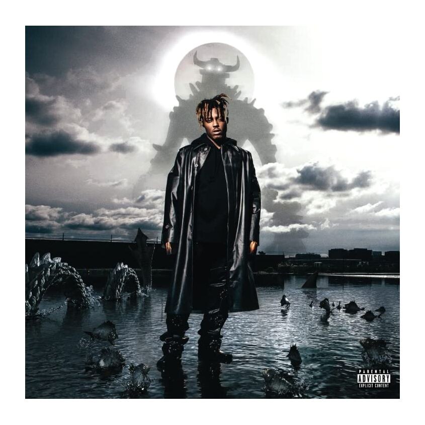 

Виниловая пластинка Fighting Demons | Juice WRLD