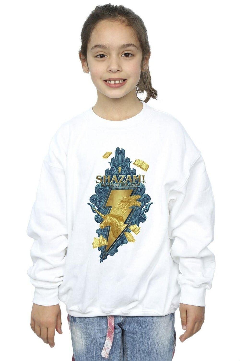 

Толстовка Shazam Fury Of The Gods Golden Animal Bolt DC Comics, белый