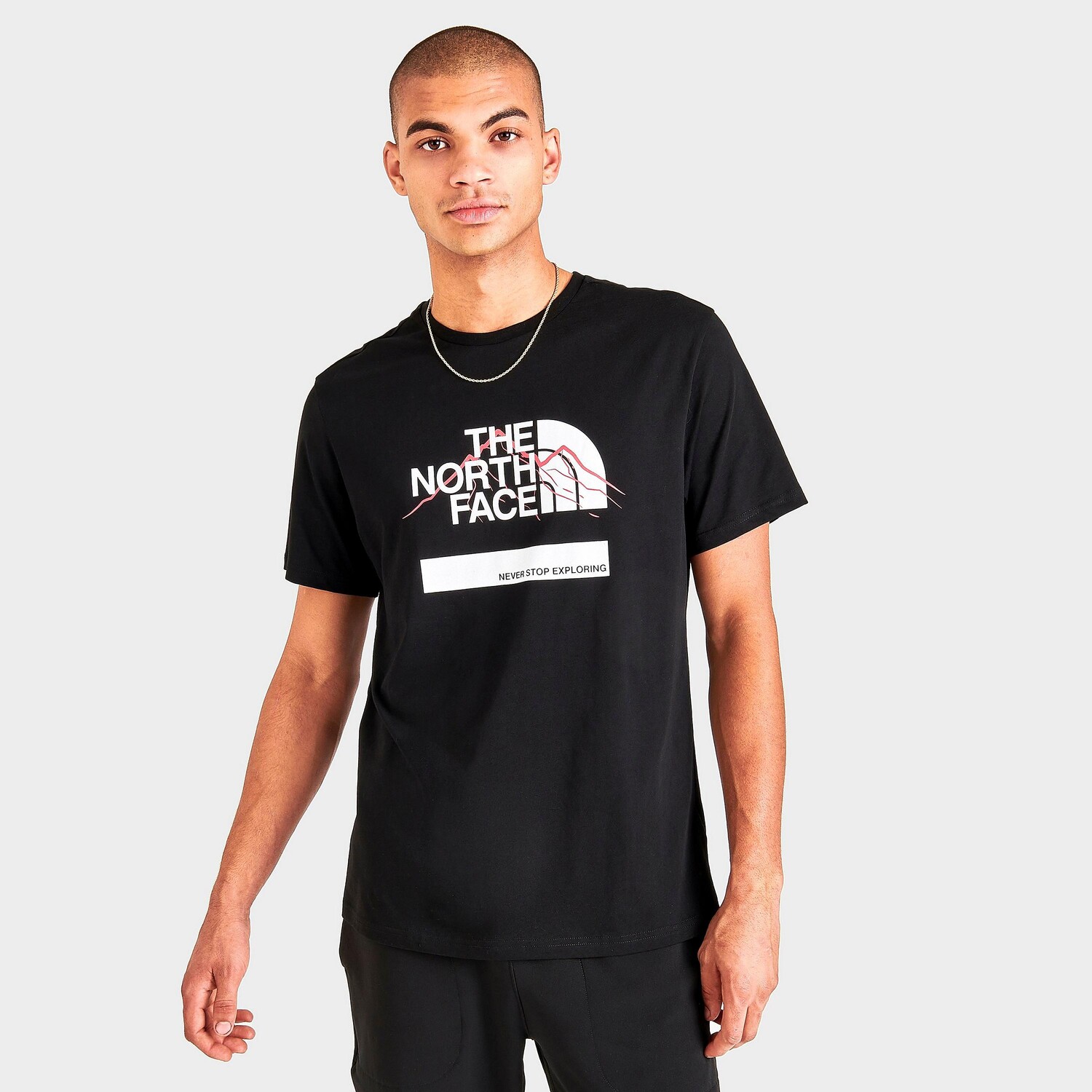 

Мужская футболка с рисунком The North Face Mountain Outline NSE, черный