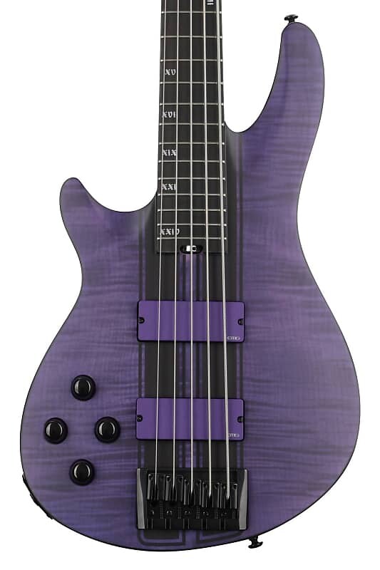 

Бас-гитара Schecter C-5 GT для левой руки - Satin Trans Purple 1535