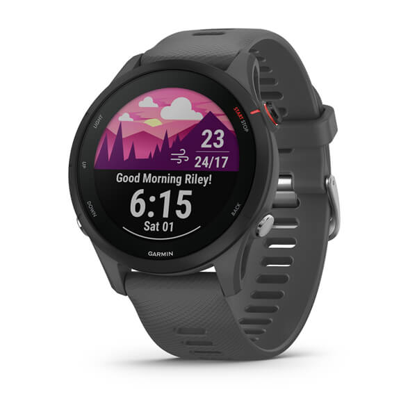 Умные часы Garmin Forerunner 255, Slate Grey - фото