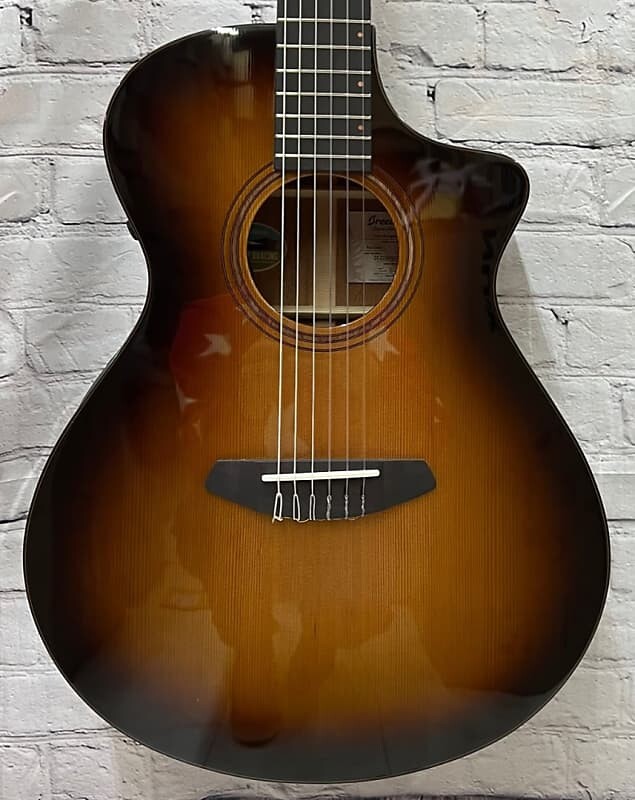 

Breedlove Organic Solo Pro Concert CE Nylon Acoustic Electric w/Case, Edgeburst SLCN44NCERCAM