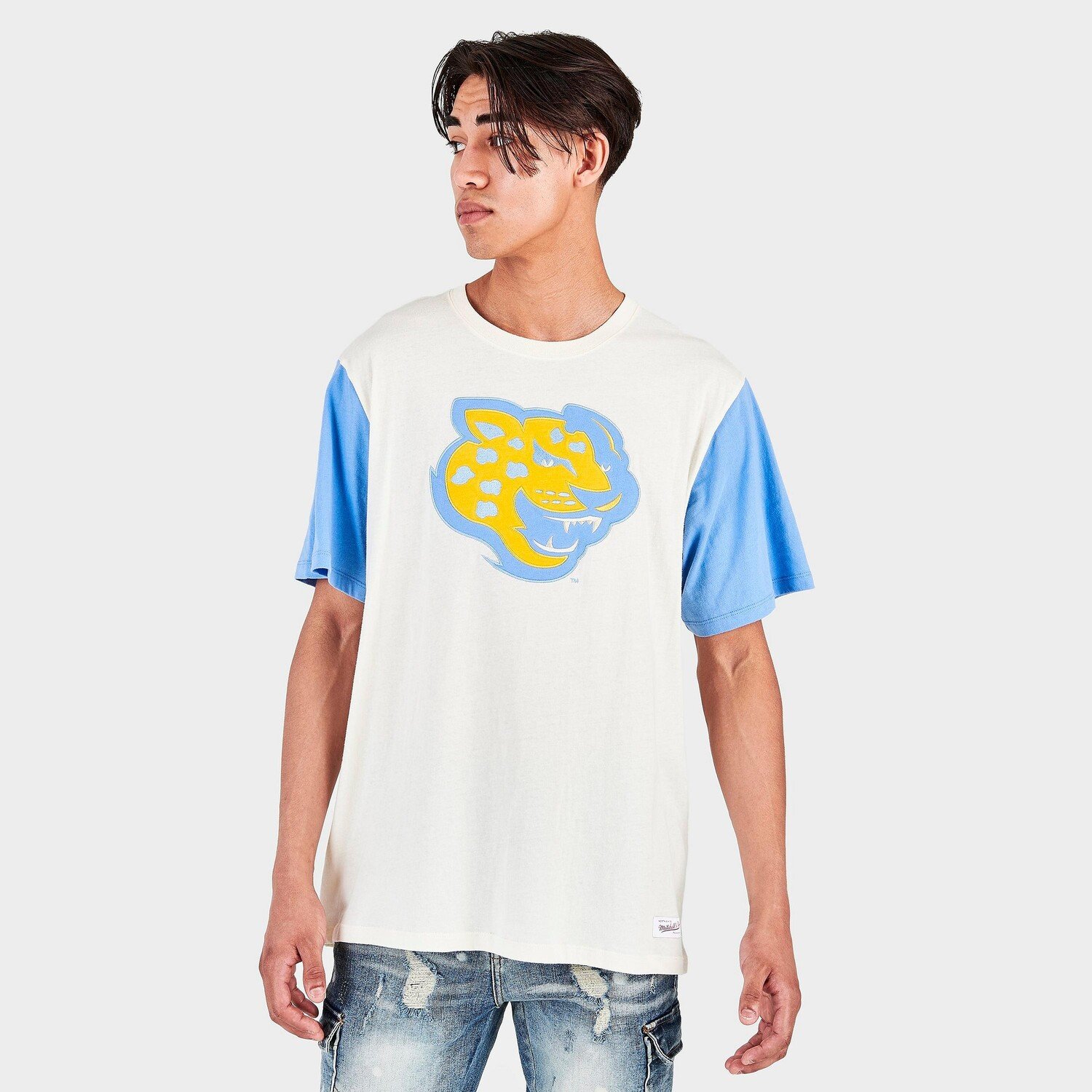 

Мужская футболка Mitchell & Ness Southern University Jaguars College с цветными блоками, белый