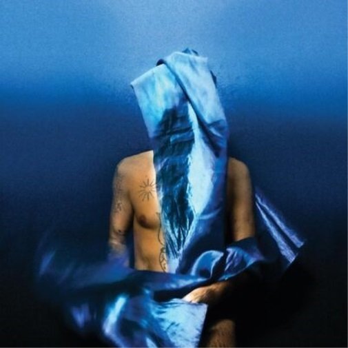 Виниловая пластинка Banhart Devendra - Flying Wig (синий винил)