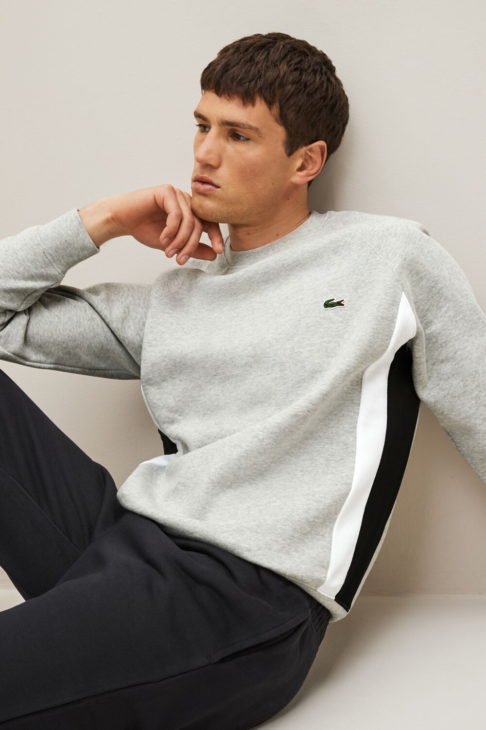 

Серая мужская толстовка Core с графикой Lacoste, серый