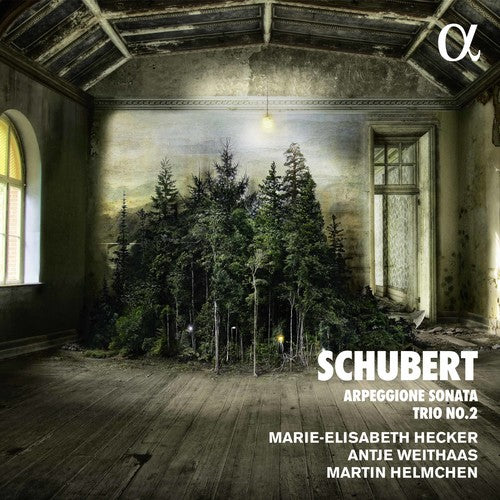 

CD диск Schubert / Helmchen / Weithaas: Piano Trio in E Flat & Arpeggione Sonata a Minor