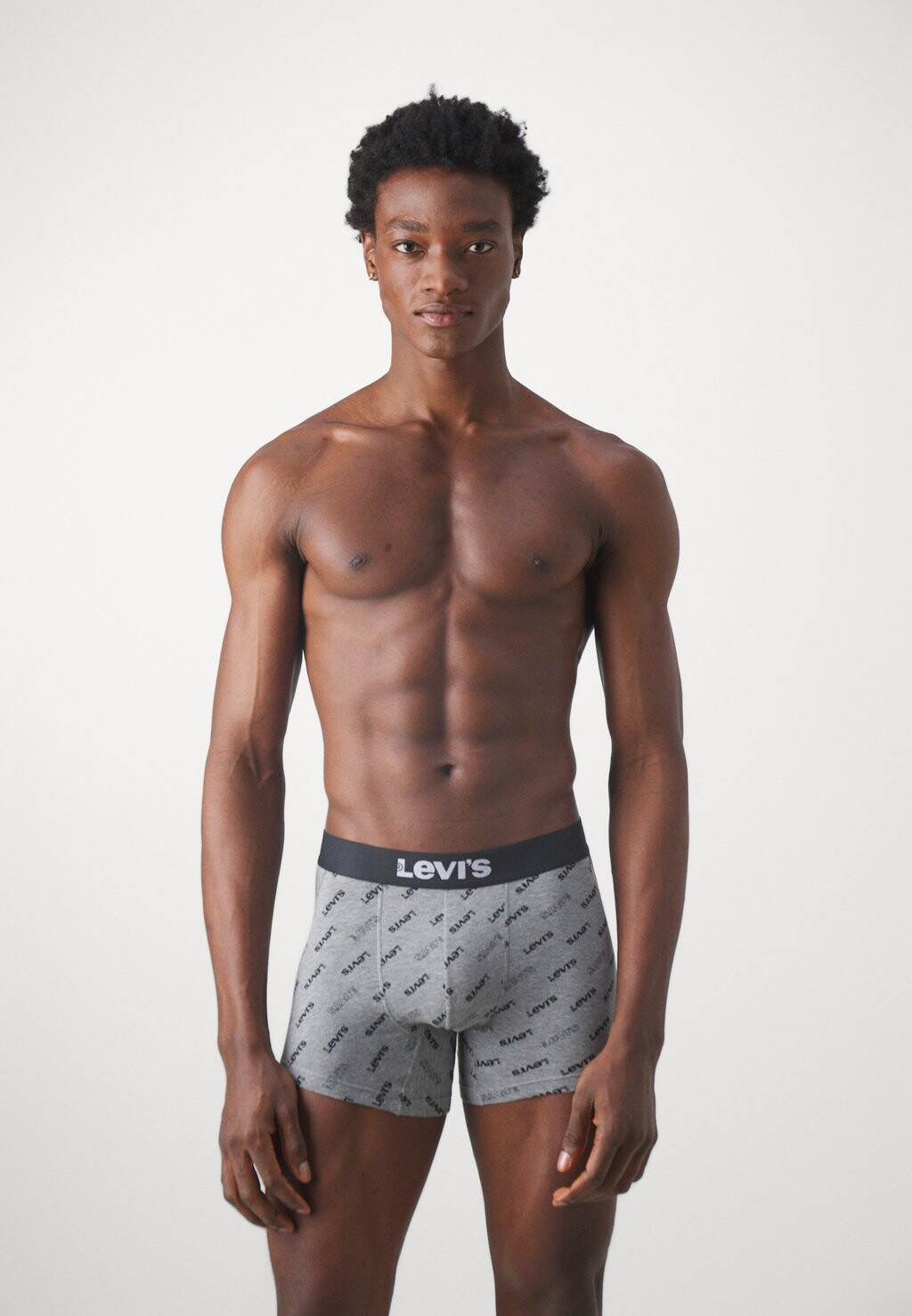 

Трусы MEN LOGO BRIEF 2 PACK Levi's, серый