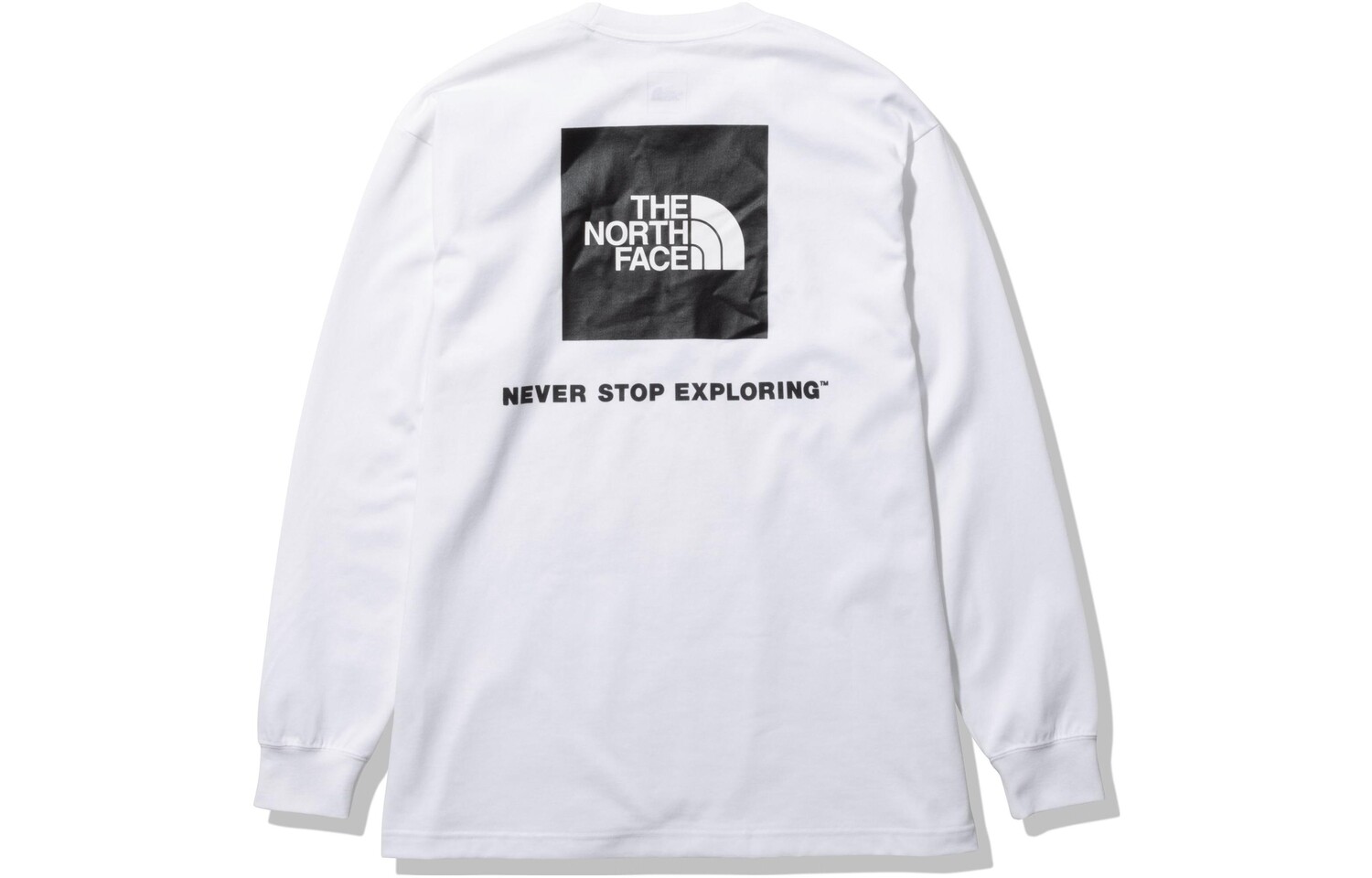 

Футболка мужская белая The North Face, белый