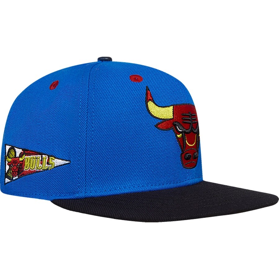 

Бейсболка Pro Standard Chicago Bulls, роял
