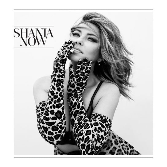 Виниловая пластинка Twain Shania - Now