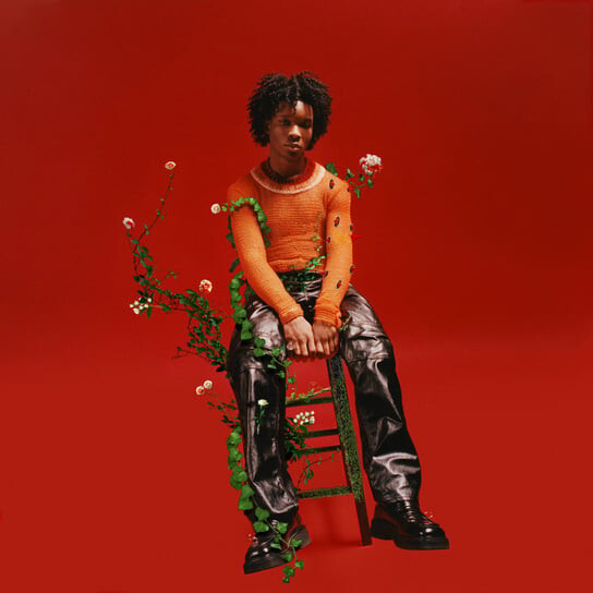 

Виниловая пластинка D4vd - Petals to Thorns