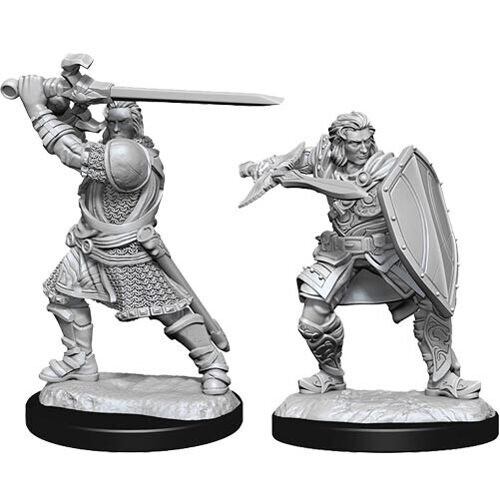 

Фигурки D&D Nolzur’S Marvelous Unpainted Miniatures (Wave 14): Human Paladin Male WizKids