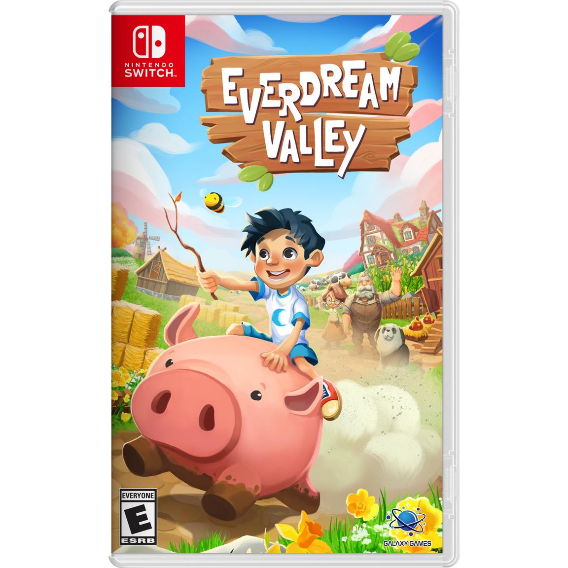 Видеоигра Everdream Valley - Nintendo Switch