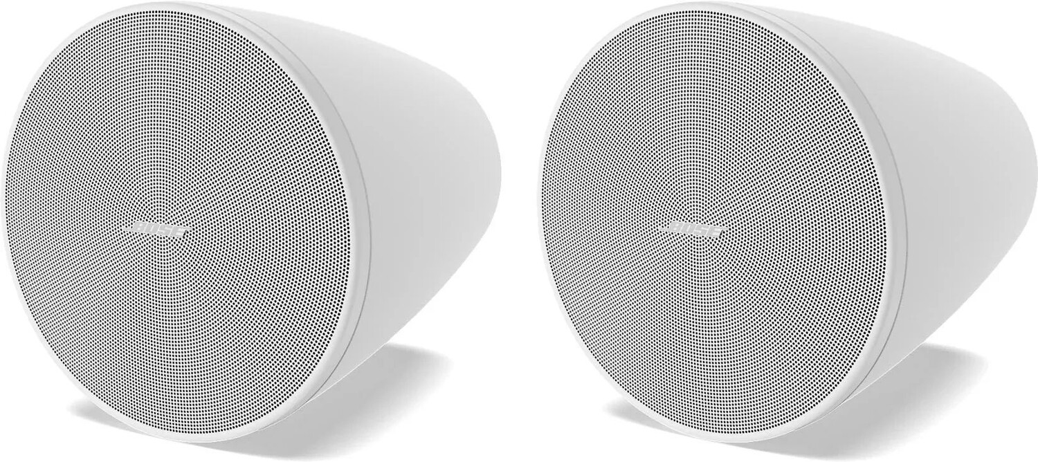

Подвесная акустическая система Bose Professional DesignMax DM5P — белая (пара)