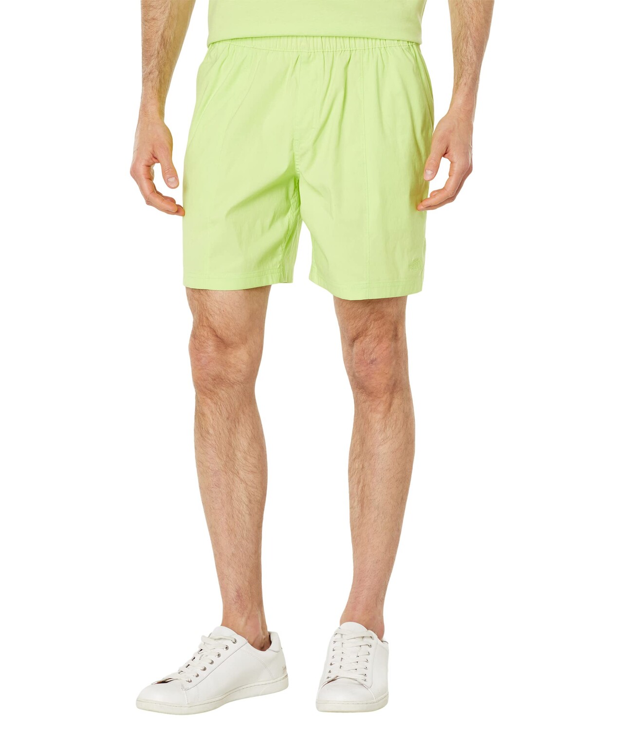 

Шорты The North Face, Class V Pull-On Shorts