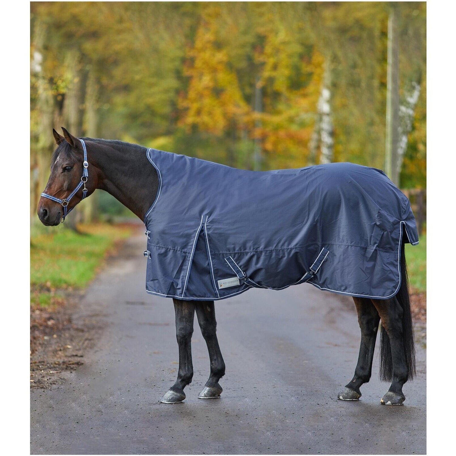

Одеяло уличное Waldhausen Light HighNeck Economic, темно-синий