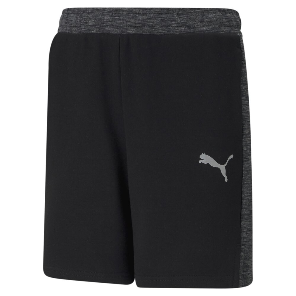 Шорты Puma Shorts Evostripe, черный