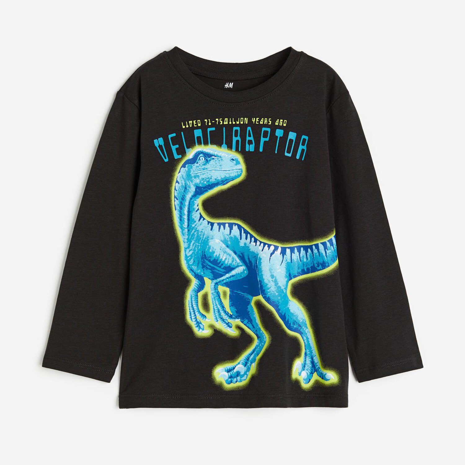 

Футболка с длинным рукавом H&M Dinosaur, черный