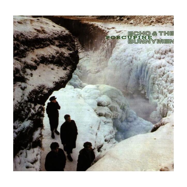 

Виниловая пластинка Porcupine (2021 Reissue) | Echo And The Bunnymen