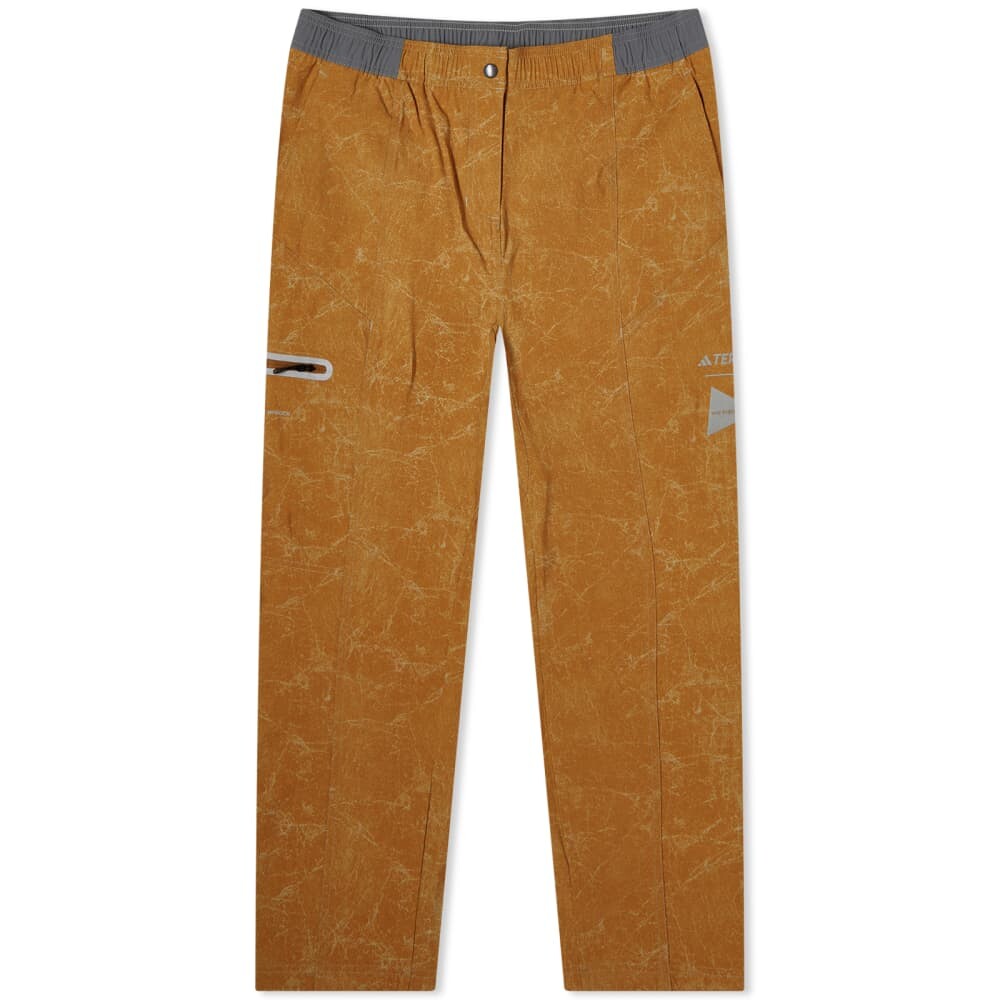 

Брюки Adidas Terrex x and wander W Pant, Коричневый