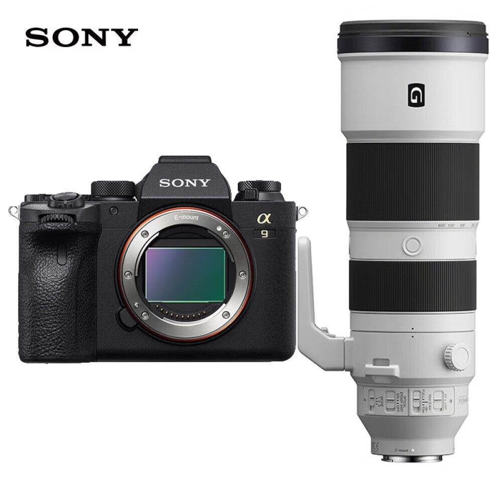 

Фотоаппарат Sony Alpha 9 II (ILCE-9M2/A9M2) FE 200-600mm с картой памяти 256G