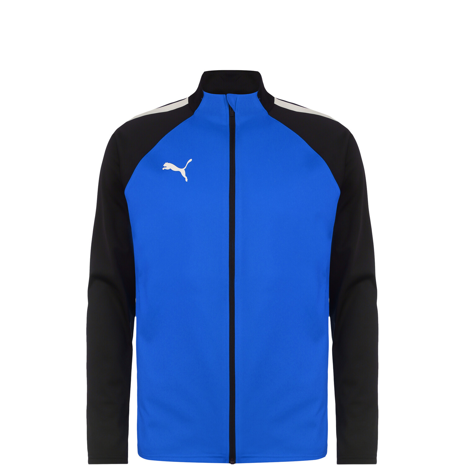 

Толстовка Puma Trainingsjacke TeamLIGA, синий
