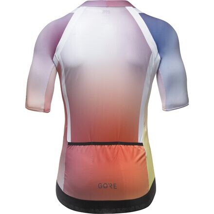 

Чейз-Джерси мужские GOREWEAR, цвет Fireball/Multicolor