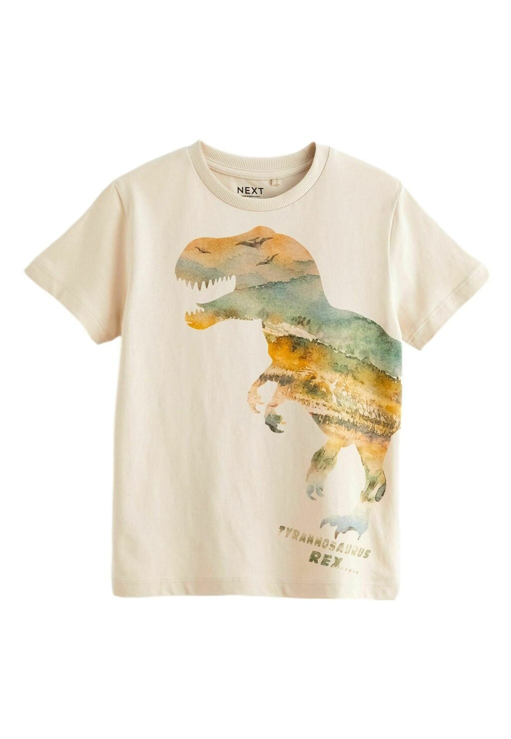 Футболка с принтом SHORT SLEEVE GRAPHIC STANDARD Next, цвет neutral dino