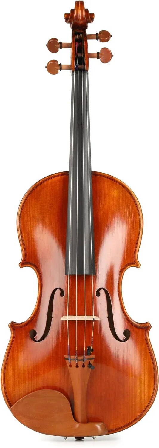 

Eastman VA200 Андреас Истман Промежуточный альт — 15,5 дюйма