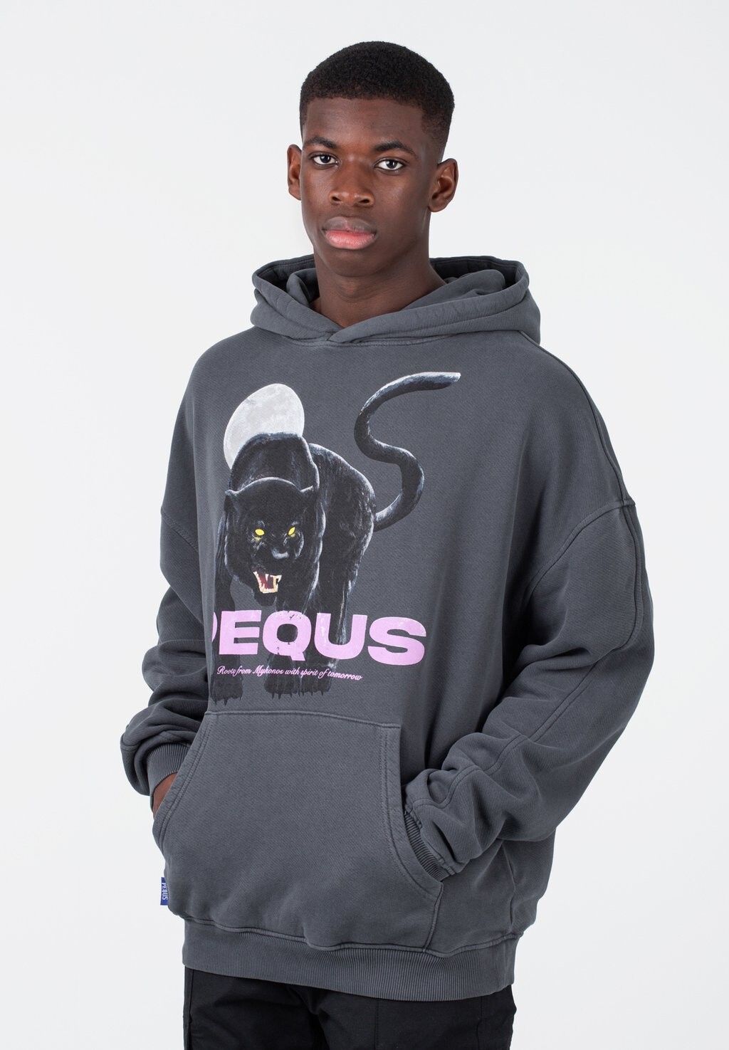 

Толстовка PEQUS PANTHA GRAPHIC, цвет black washed