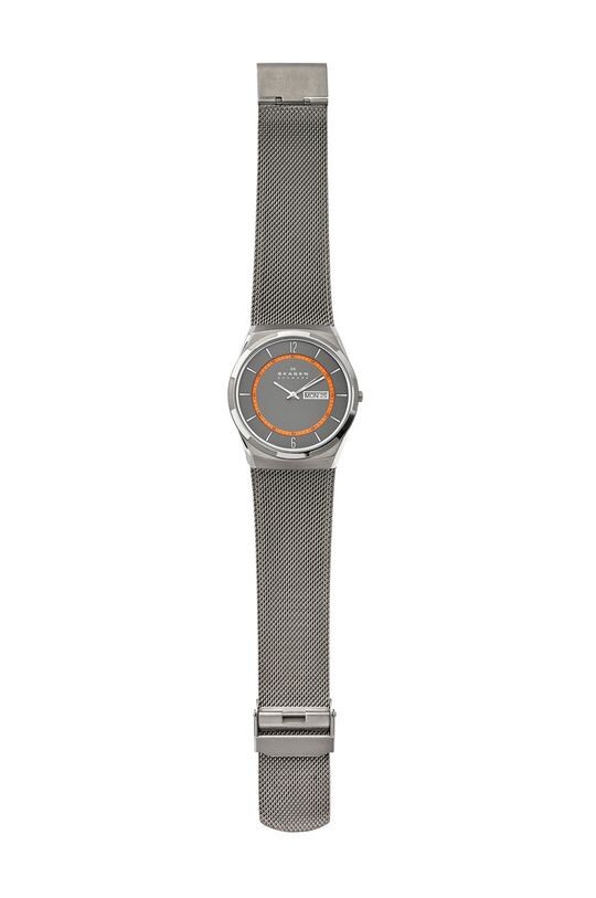

Скаген - часы SKW6007 Skagen, мультиколор