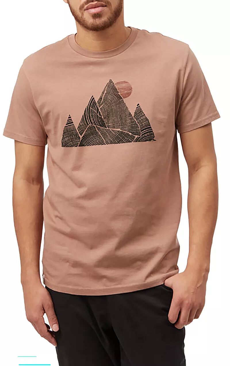 цена Мужская классическая футболка Tentree Mountain Peak