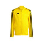 Тренировочная куртка FUSSBALL TEAMSPORT TIRO 23 L adidas Performance, цвет gelb - фото