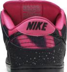 Nike Premier x Dunk Low Premium SB AE QS Northern
