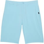 Шорты Quiksilver Kids Oceanmade Union Amphibian, цвет Sky Blue - фото