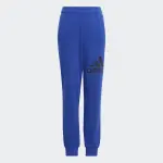 Спортивные брюки Adidas Sportswear "ESSENTIALS REGULAR FIT BIG LOGO COTTON PANTS" (1 шт.), синий - фото