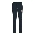 Детские спортивные штаны Jack & Jones "JPSTELOGO SEATPANTS 2COL 24/25 NOOS JNR" Jack & Jones Junior, синий - фото 5