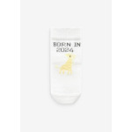 Носки BORN IN 2024 2 PACK REGULAR FIT Next, цвет ecru white - фото 2