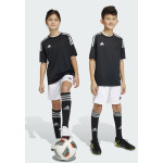 Спортивные шорты Tiro 23 League Adidas, цвет white black - фото