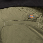 Брюки-карго Джексон Dickies, цвет military green - фото 5