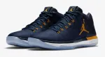 Air jordan 31 2025 low michigan