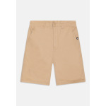 Шорты EVERYDAY UNION LIGHT YOUTH Quiksilver, цвет beige - фото