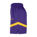 Шорты Nike LAL MNK DF PRAC ICON+ 8IN, фиолетовый - фото 3