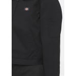 Зимняя куртка Dickies, цвет black - фото 9