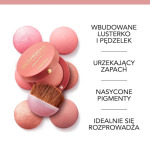 Румяна 74 Rose Ambre, 2,5 г Bourjois, Little Round Pot Blusher - фото 4