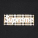 Burberry x supreme kai top