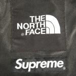 Supreme the north face 2025 leather mountain parka black