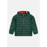 Пуховик REVERSIBLE HOODY UNISEX Patagonia, красный - фото 4