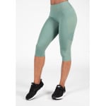 Брюки для тренировок и бега Gorilla Wear, цвет sport/leggings - фото